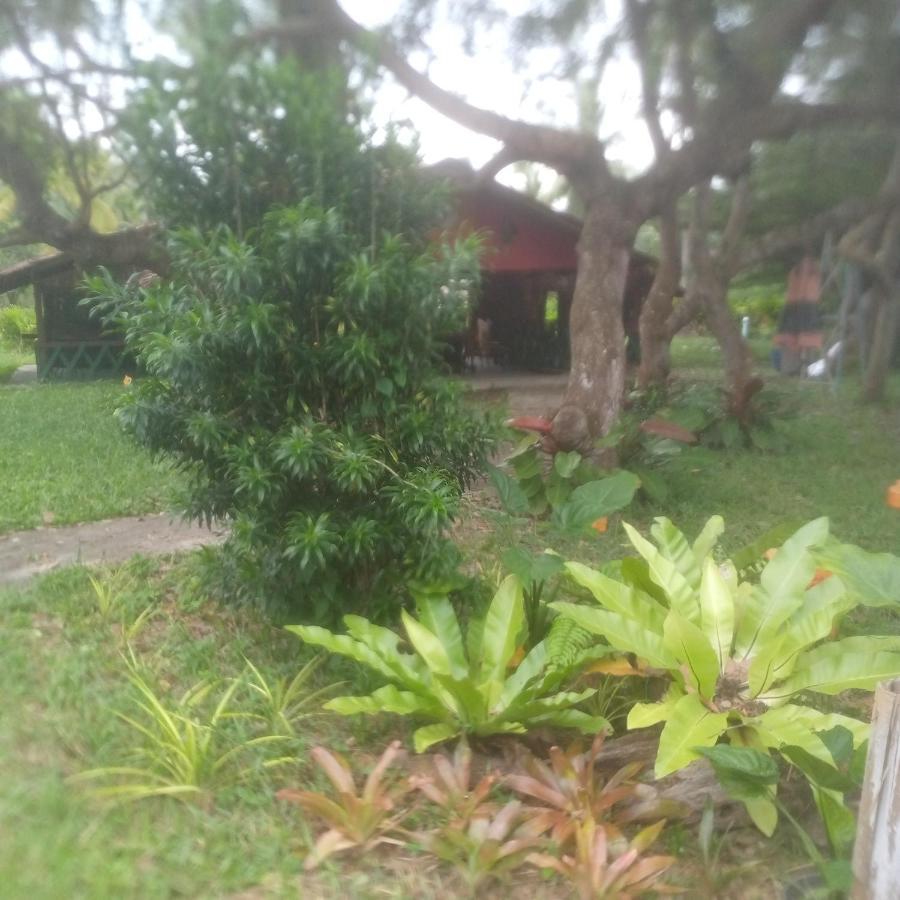 Koh Mook Oyoy Reggaebar Bungalow Exterior photo